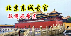 熟妇淫娃中国北京-东城古宫旅游风景区
